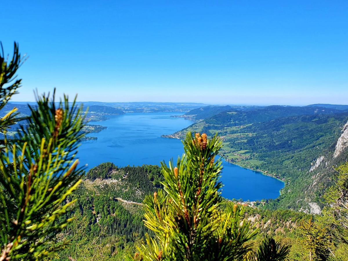 Attersee Haus Leitner 아파트 외부 사진